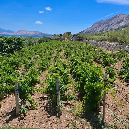 Marianna In Pag - Haus Fuer 5 Personen 別荘 パグ