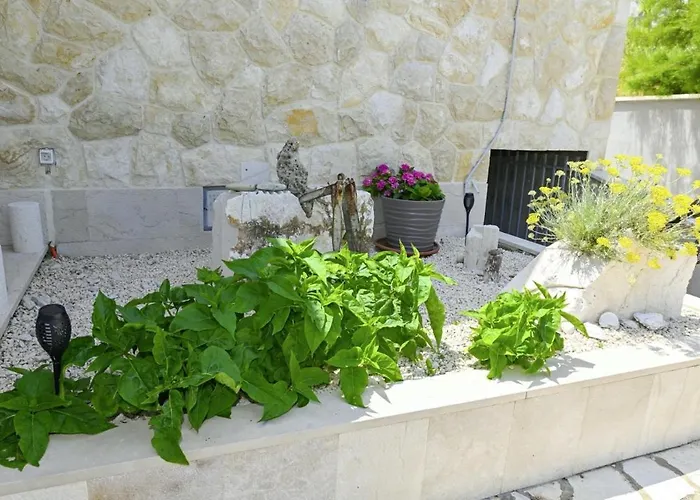 Marianna In Pag - Haus Fuer 5 Personen * Колан