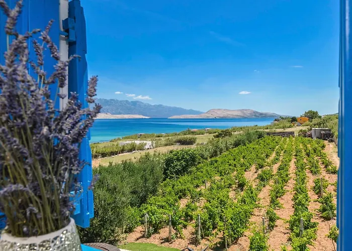 Marianna In Pag - Haus Fuer 5 Personen Дом отдыха