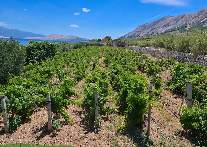 Marianna In Pag - Haus Fuer 5 Personen Дом отдыха Колан